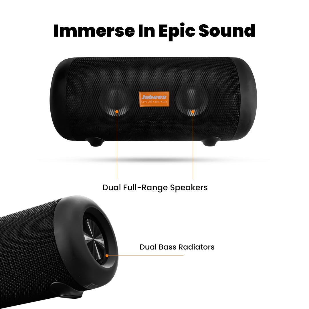Portable Speaker