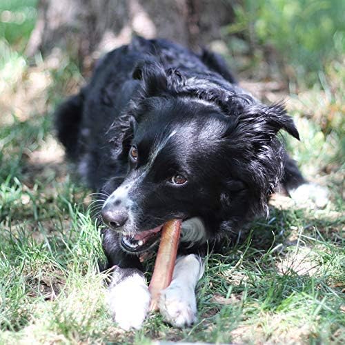Bully Sticks