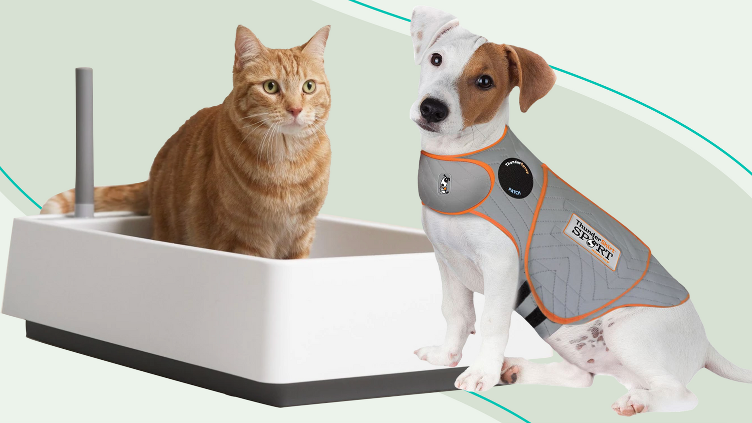 Pets