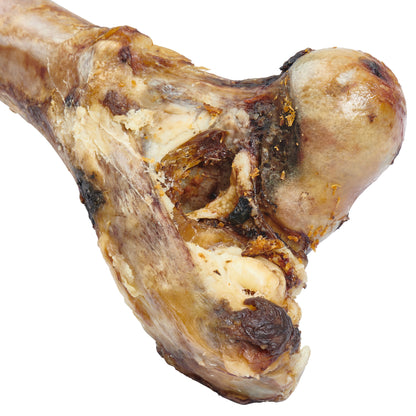 Giant Dog Bone
