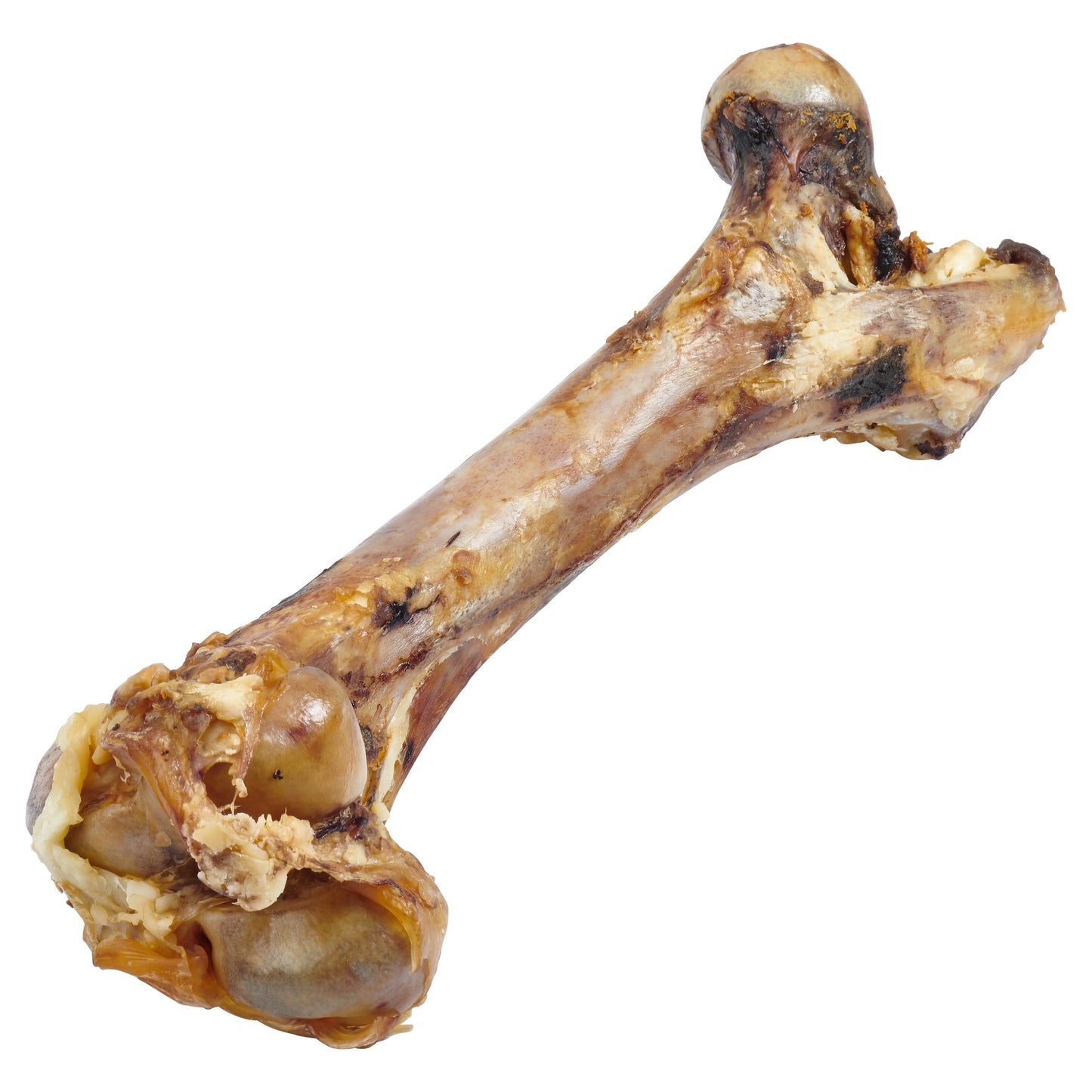 Giant Dog Bone