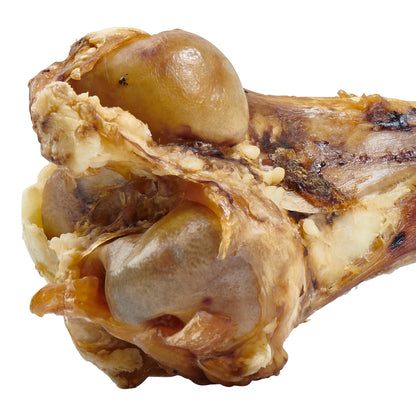 Giant Dog Bone