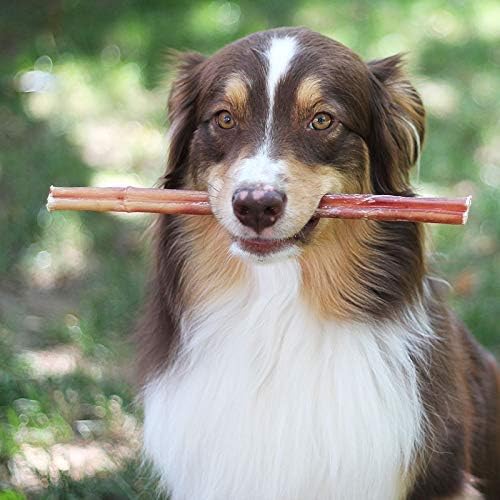 Bully Sticks