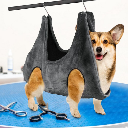 Hanging Hammock