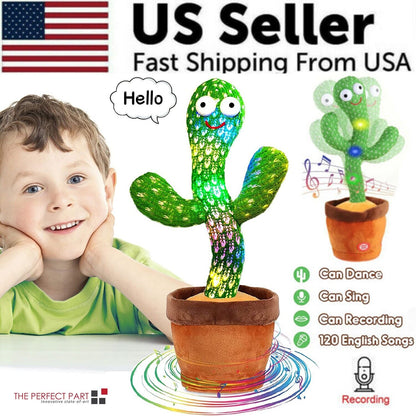 Dancing Cactus
