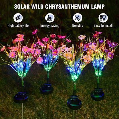 Solar Garden Lights