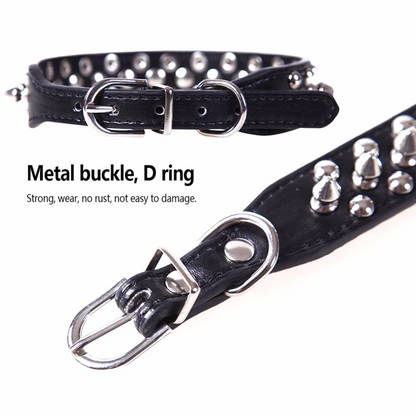 Dog Collar