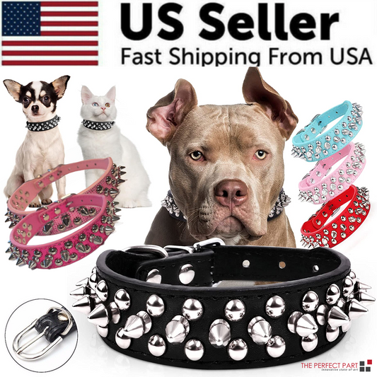 Dog Collar
