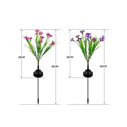 Solar Garden Lights