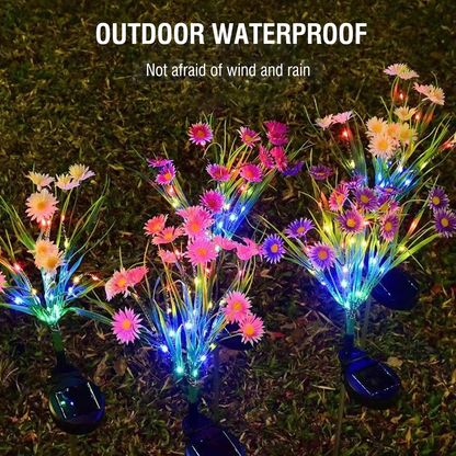 Solar Garden Lights