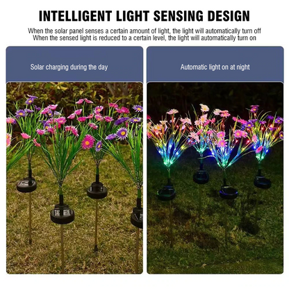 Solar Garden Lights