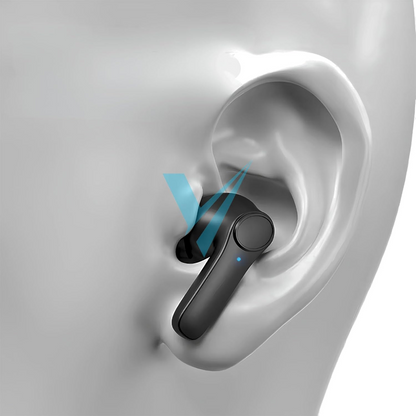 Translation Earphones