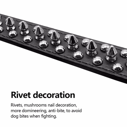 Dog Collar