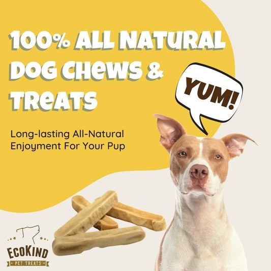 Dog food