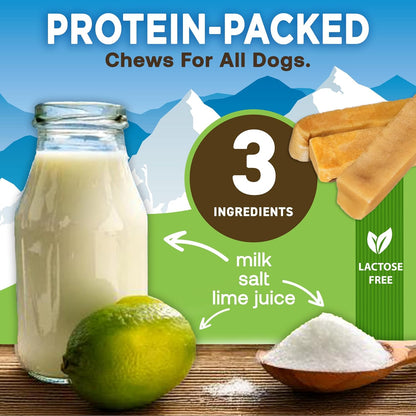 Dog food