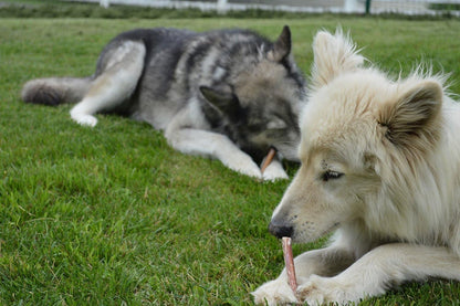 Bully Sticks