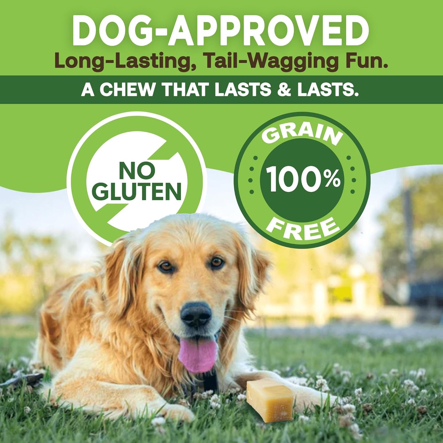 Dog food