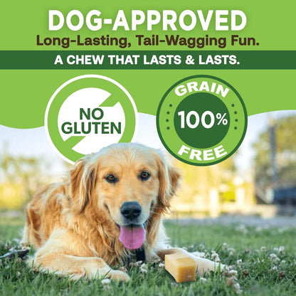 Dog food