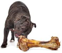 Giant Dog Bone