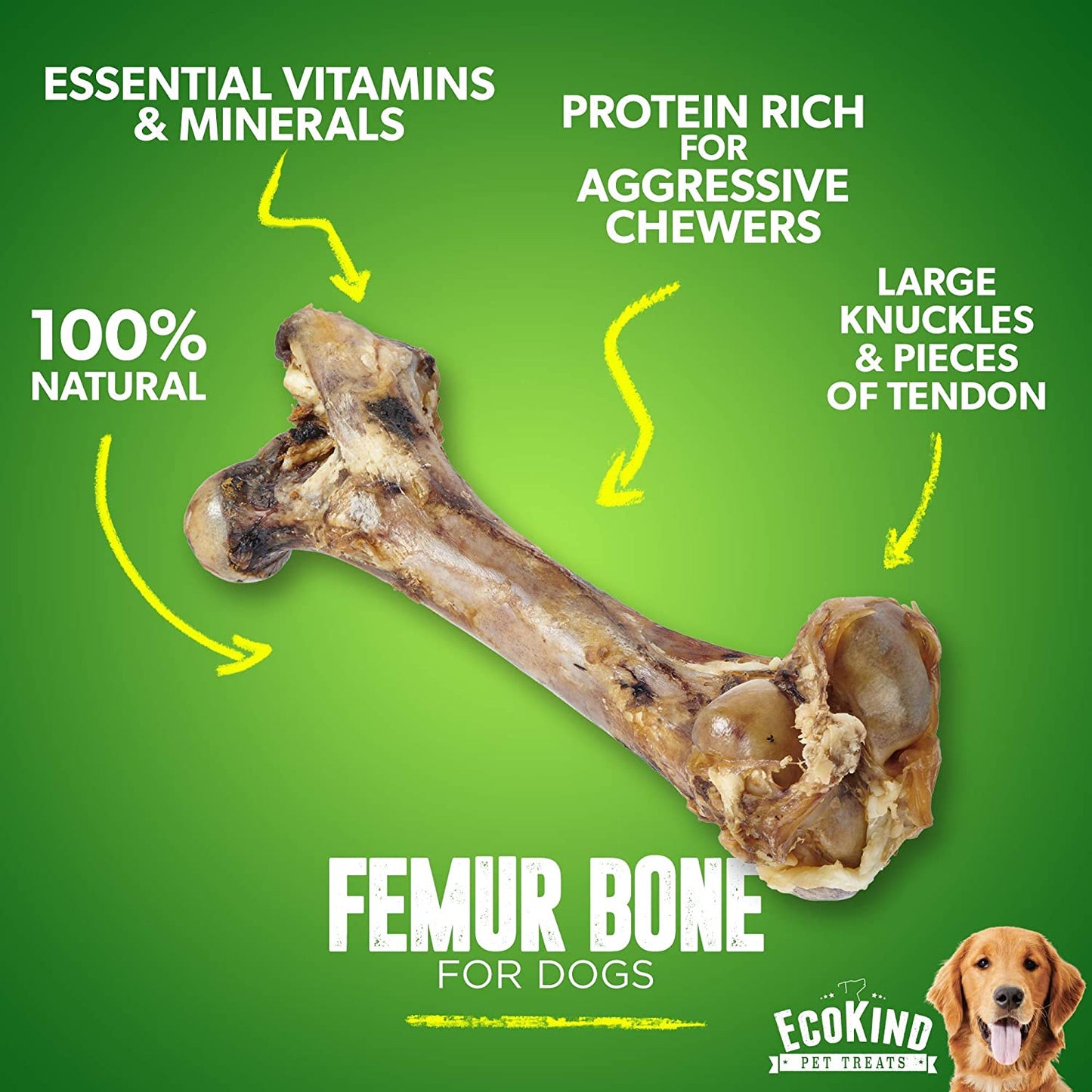 Giant Dog Bone