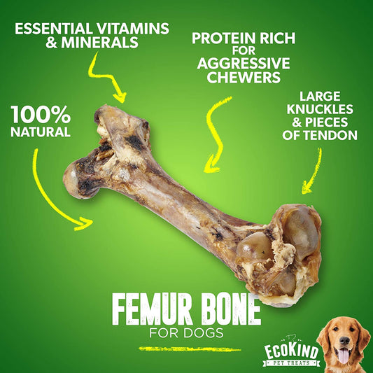 Giant Dog Bone