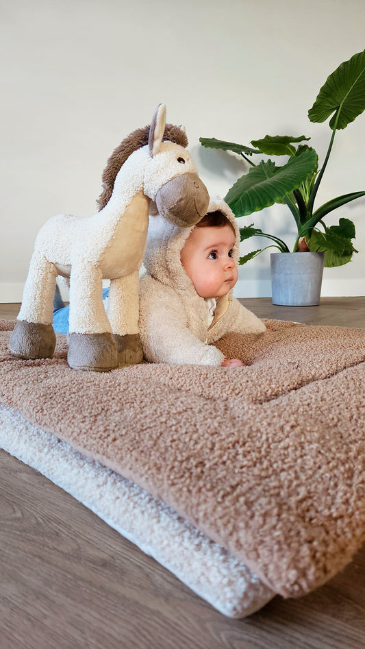 Horse Helma
