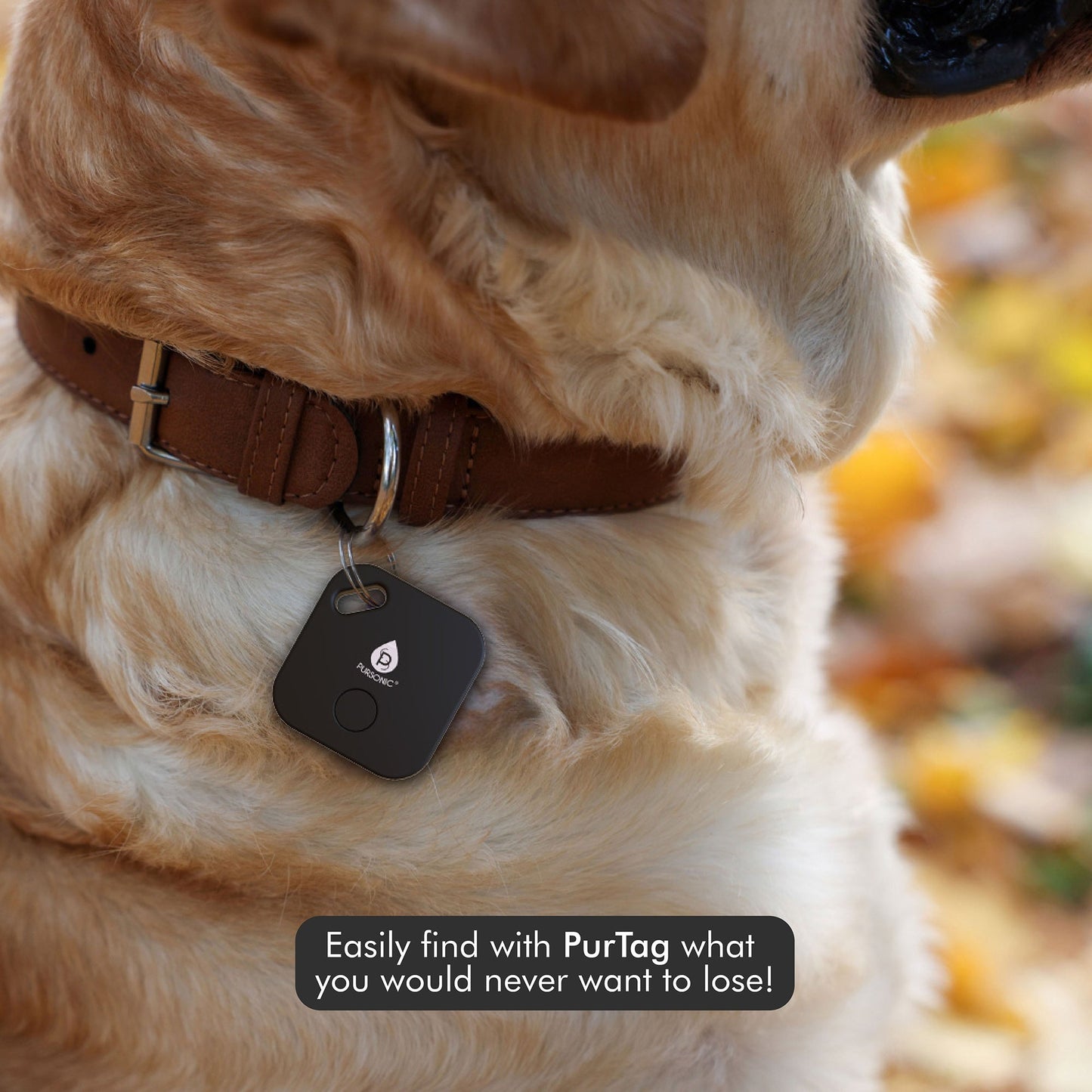 Purtag Tracker