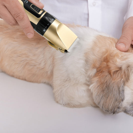 Pet Hair Trimmer